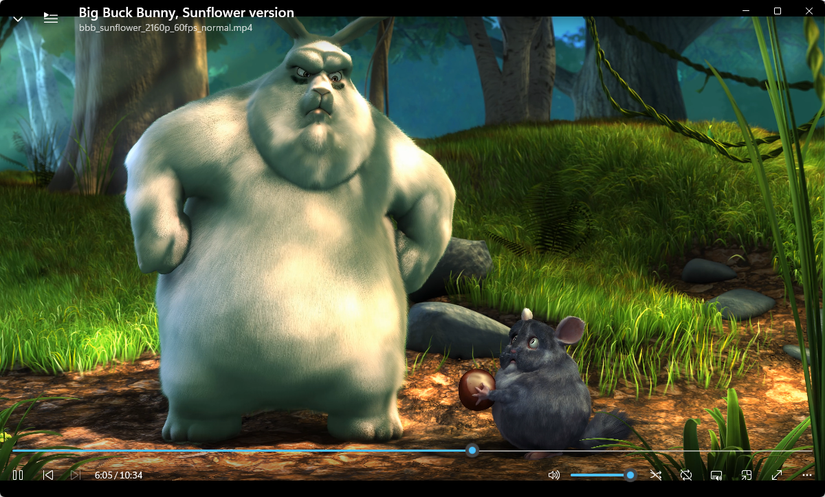 Screenbox plays media files.