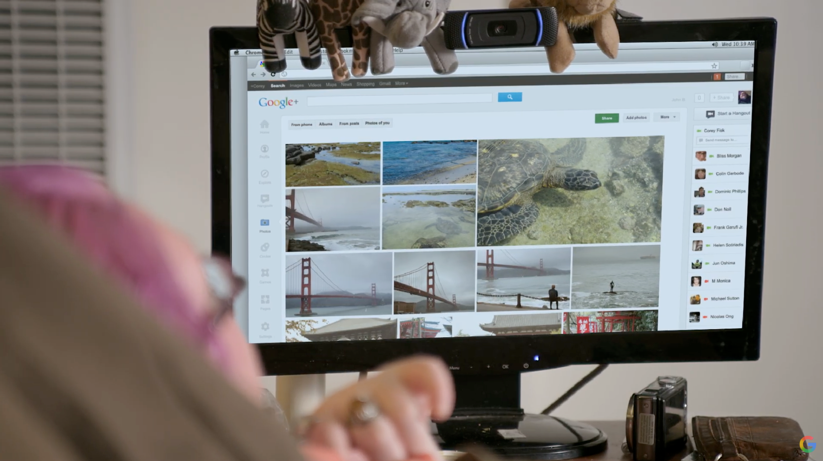 Integração de fotos do Google+ vistas em uma tela com fotografias da vida selvagem no aplicativo Google+.
