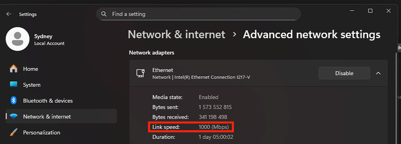 Advanced network settings in Windows showing Ethernet link speeds.