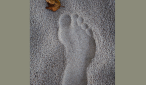 The cover of a student guide made with Scribus.