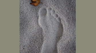 The cover of a student guide made with Scribus.