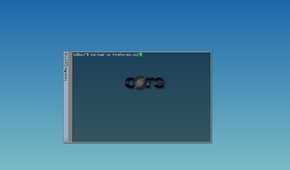 Using the default Tiny Core console.