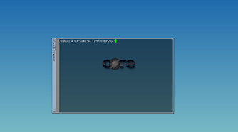 Using the default Tiny Core console.