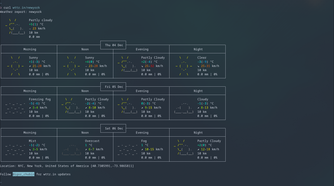 Loading weather forecasts for particular cities within the terminal.