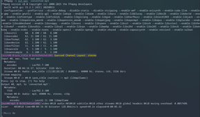 A file converted into MP3 format using FFmpeg.