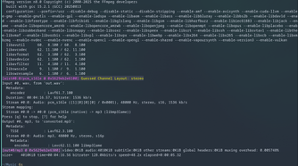 A file converted into MP3 format using FFmpeg.