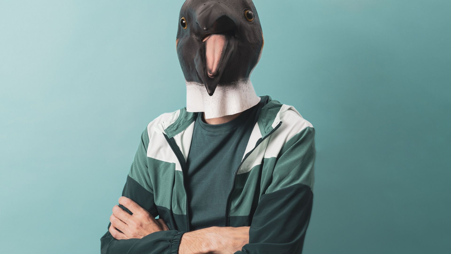 A man wears a penguin mask while looking at the camera with his arms crossed.