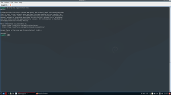 Successfully registered the WARP-CLI connection.