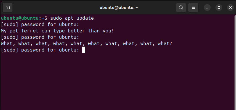 Insultos de comando Sudo em um terminal Ubuntu.