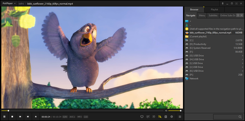 Basic PotPlayer user interface.