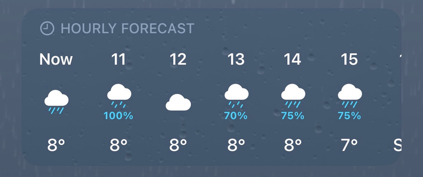 The hourly forecast in the Weather app on an iPhone.