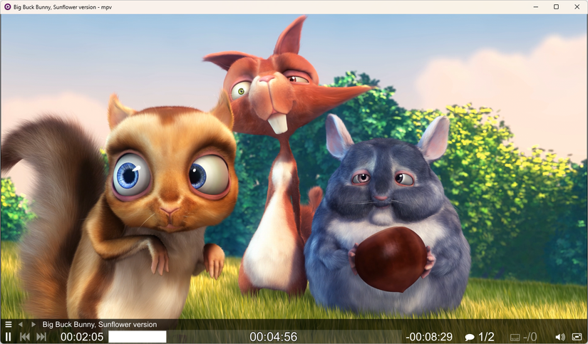 Media menu that appears in MPV when playing a file.