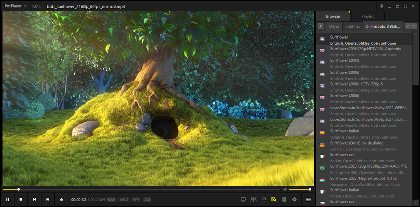 Subtitle options available for sample media in PotPlayer.