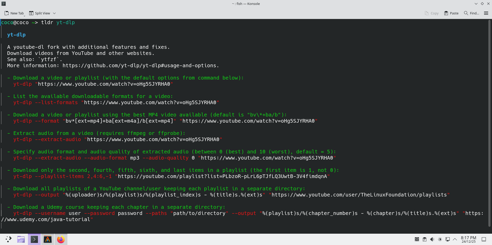 Executando o comando tldr.