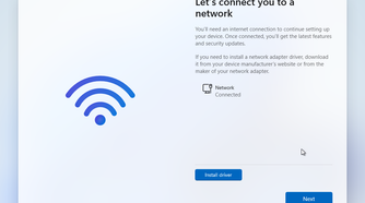 Windows 11 demands to go online to install the OS.
