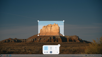 ZorinOS screenshot tool.