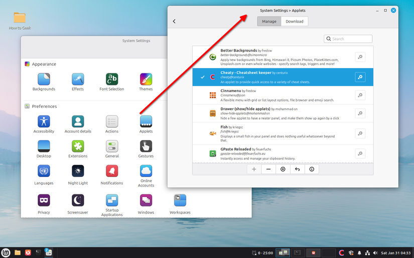 Настройки апплета Cinnamon в Linux Mint.
