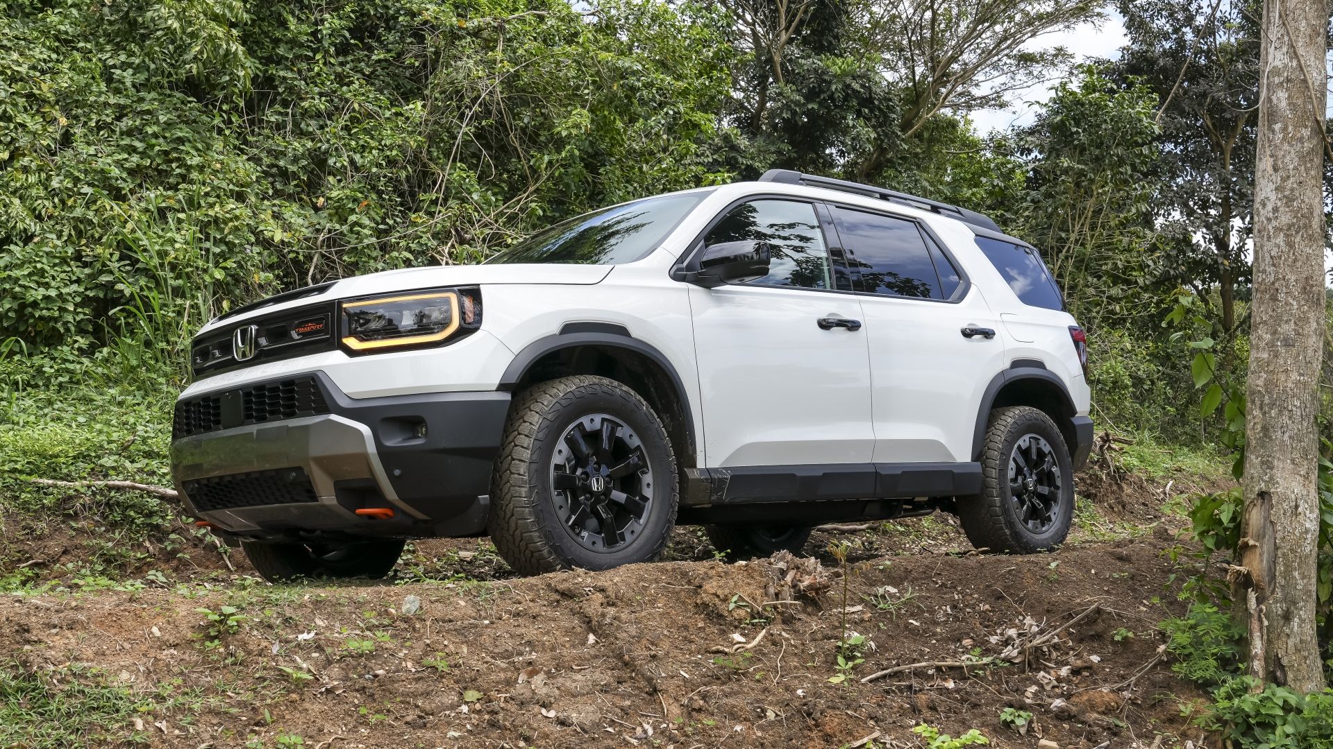 Not a Subaru: the Japanese midsize SUV built for real adventures