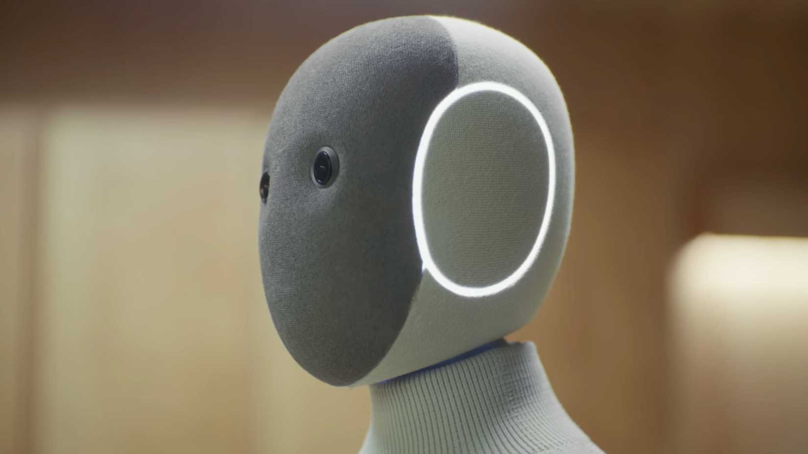 The future of humanoid robots in the smart home is bleak