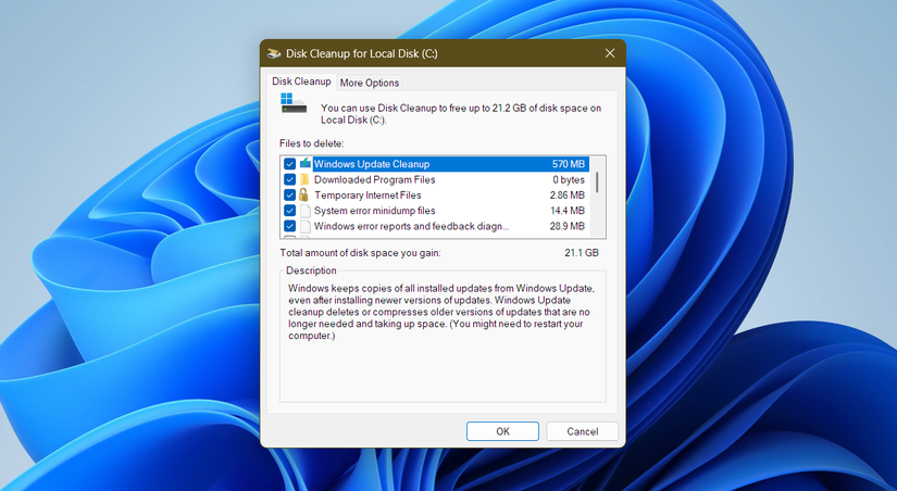 Disk Cleanup in Windows 11.