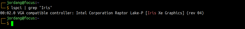 A Linux terminal showing the output of the lspci command piped into grep filtering for the Iris term.
