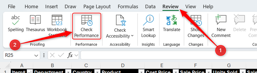 Check Performance in Excel's Review tab is selected.
