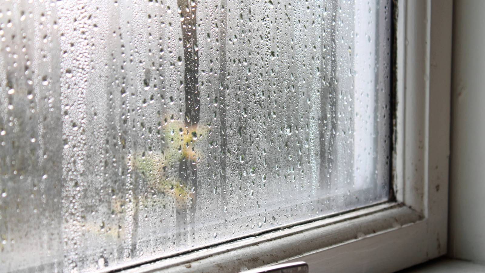 This Home Assistant helper can warn you before mold appears in your house