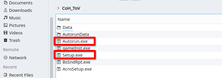 Dolphin file browser showing autorun and setup executable files.