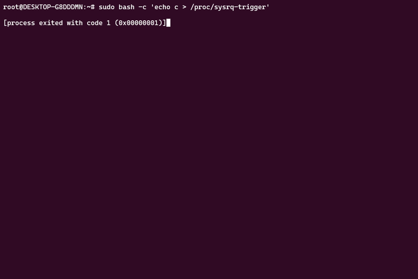 Provocando um kernel panic.