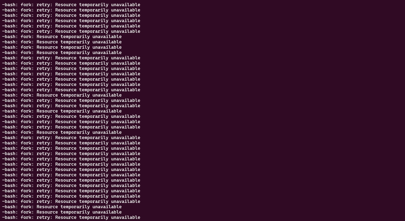 A Fork Bomb in action.