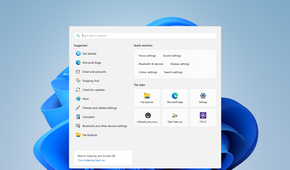 The script successfully removed Copilot from Windows 11.