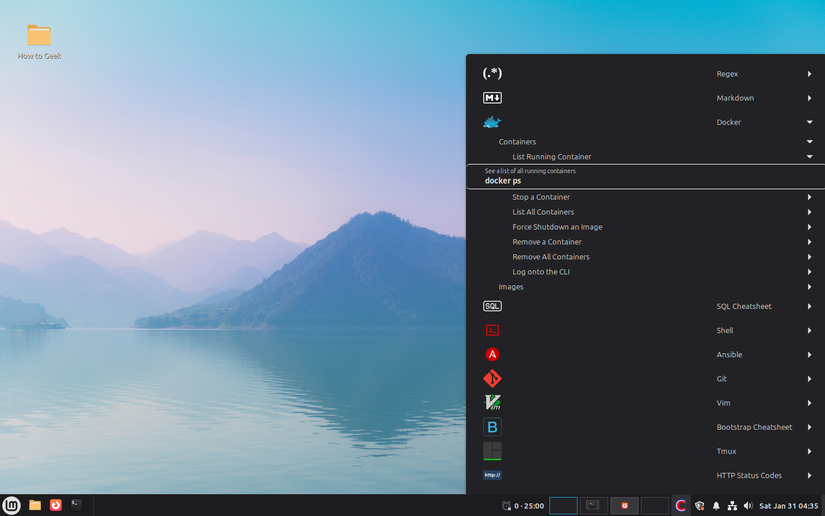 Linux Mint Cinnamon applet Cheaty docker cheatshee expanded.