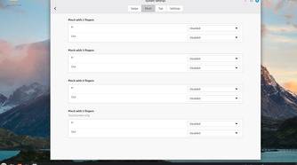 Linux Mint Cinnamon Gesture settings Pinch options.