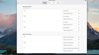 Linux Mint Cinnamon Gesture settings Swipe options.