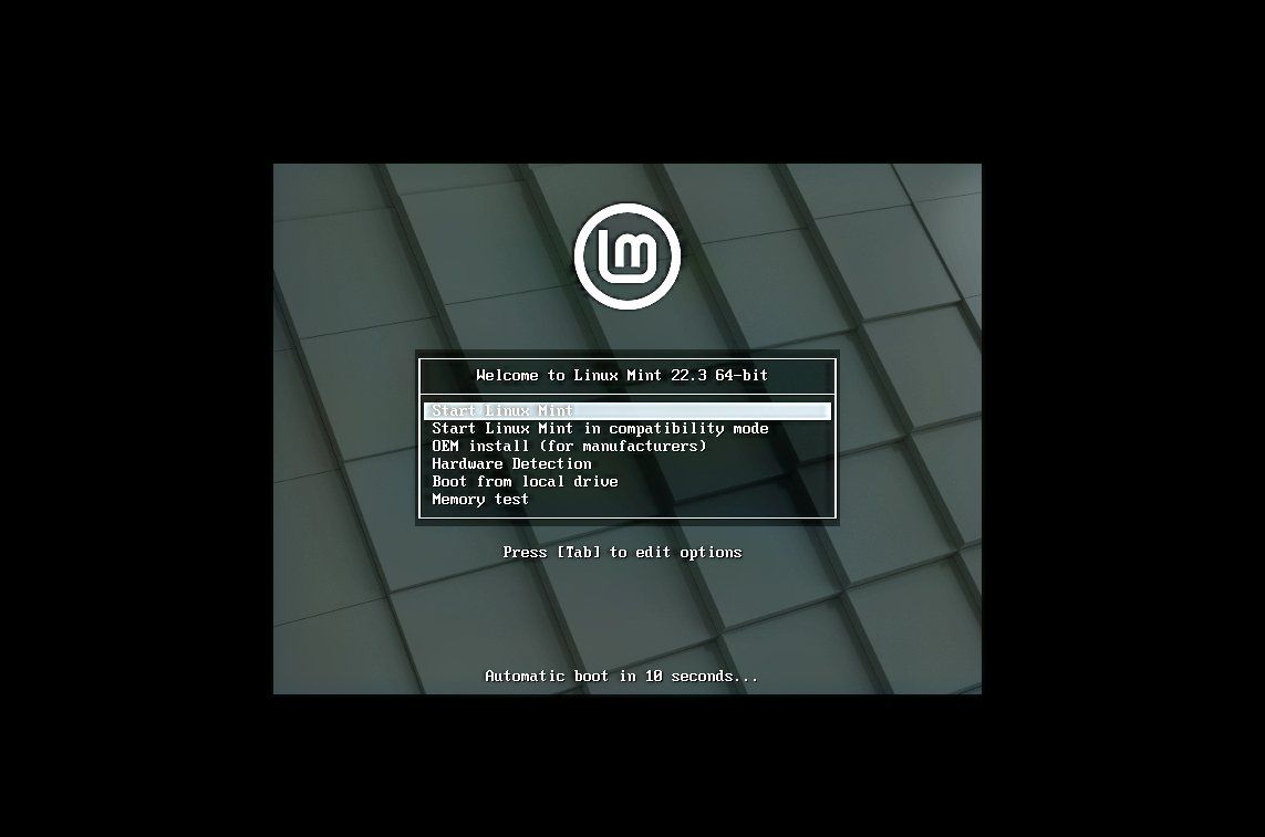 Linux Mint first boot installation screen