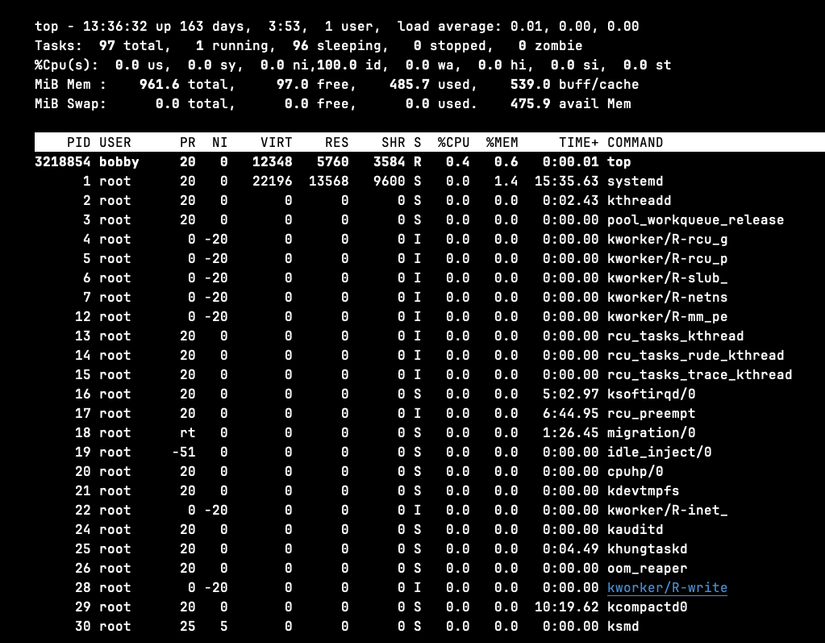 The best Linux program displaying a long list of processes, with information such as their CPU usage and total execution time.