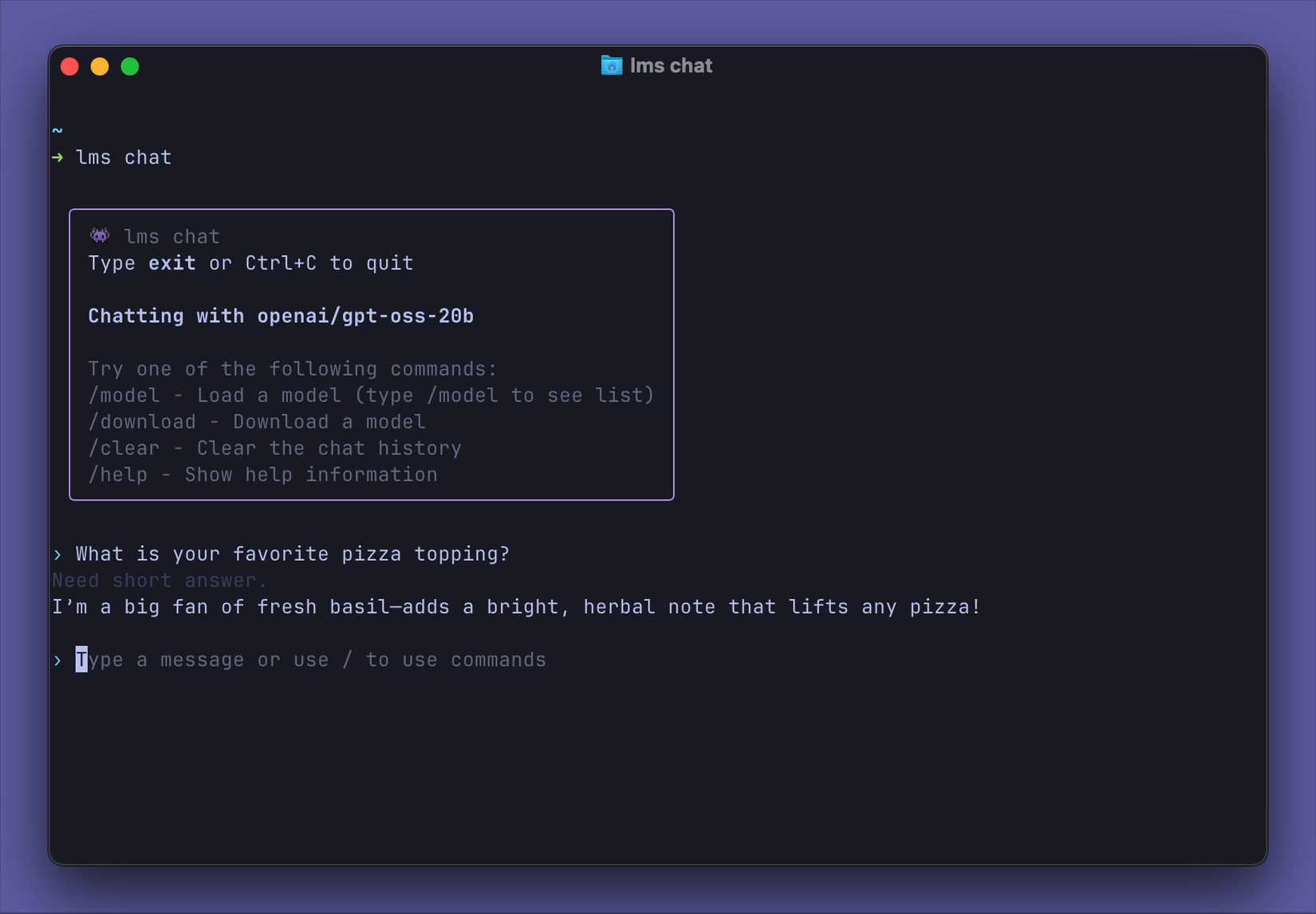 LMS chat in a terminal