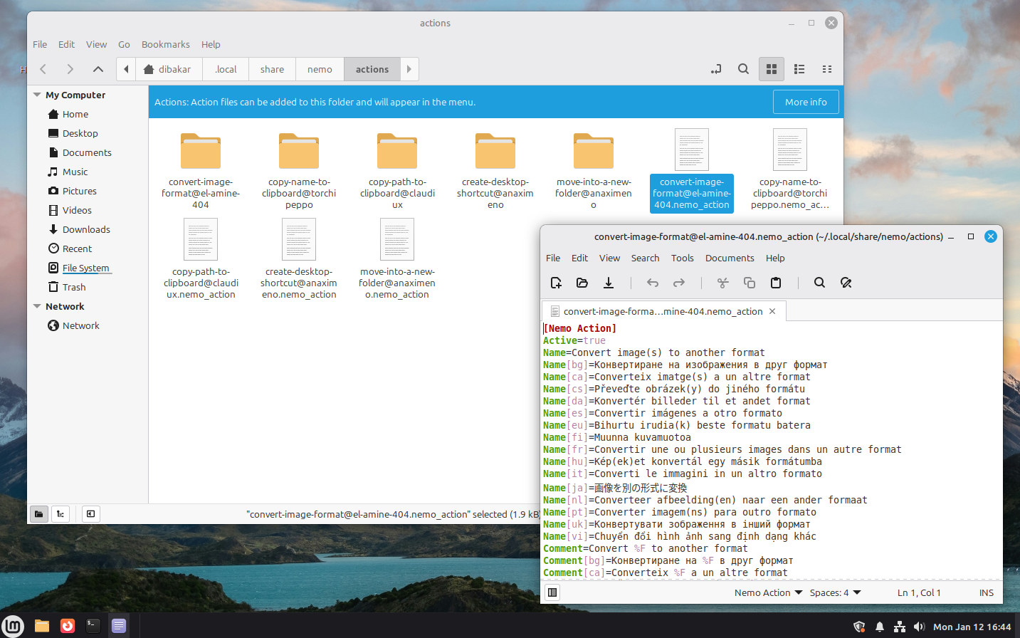 Nemo Actions file type.