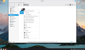 Nemo Actions showcase in Linux Mint Cinnamon.