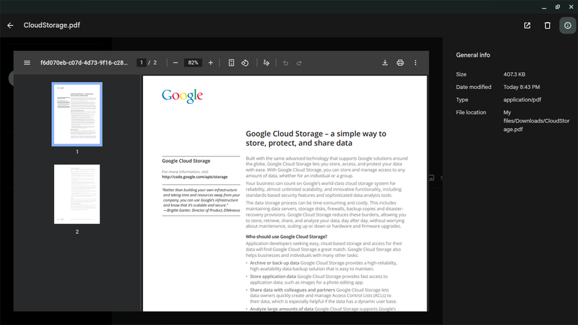 previewing a pdf in Chromebook