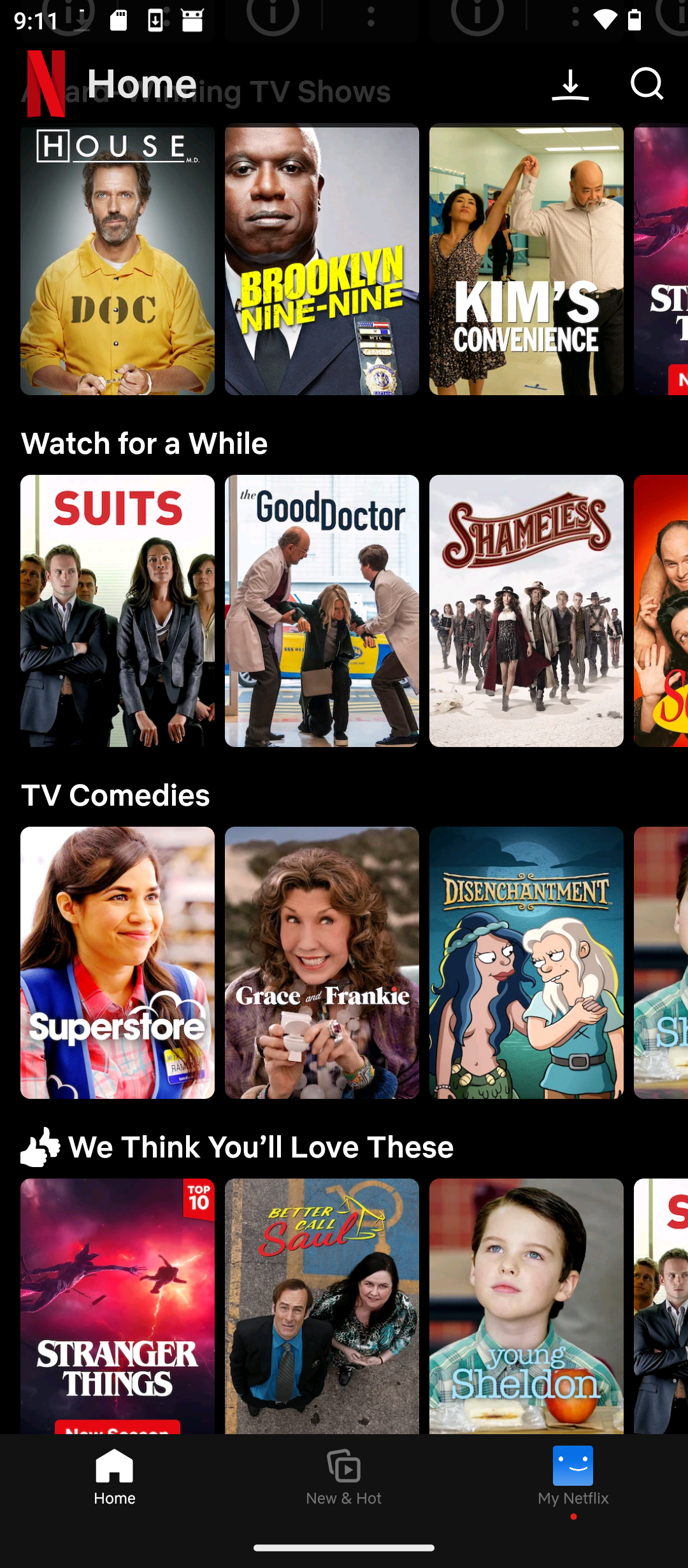 Netflix on stock Android.