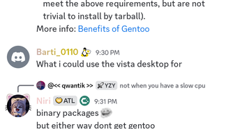 Discord working on a degoogled phone.