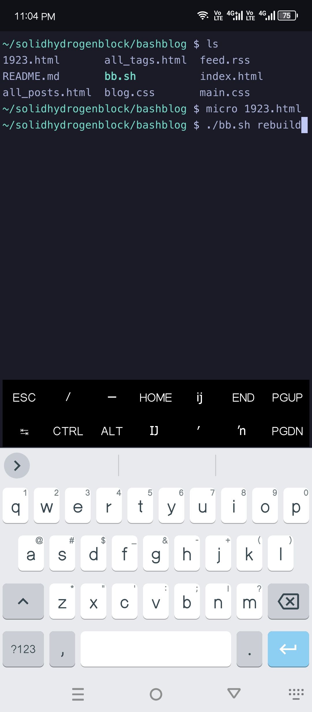 Publishing with Bashblog.