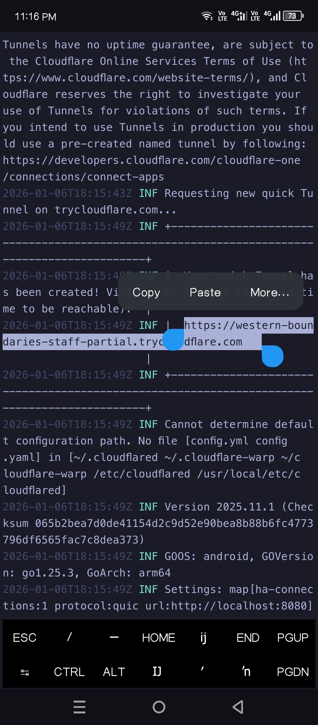 Cloudflared generated a public URL.