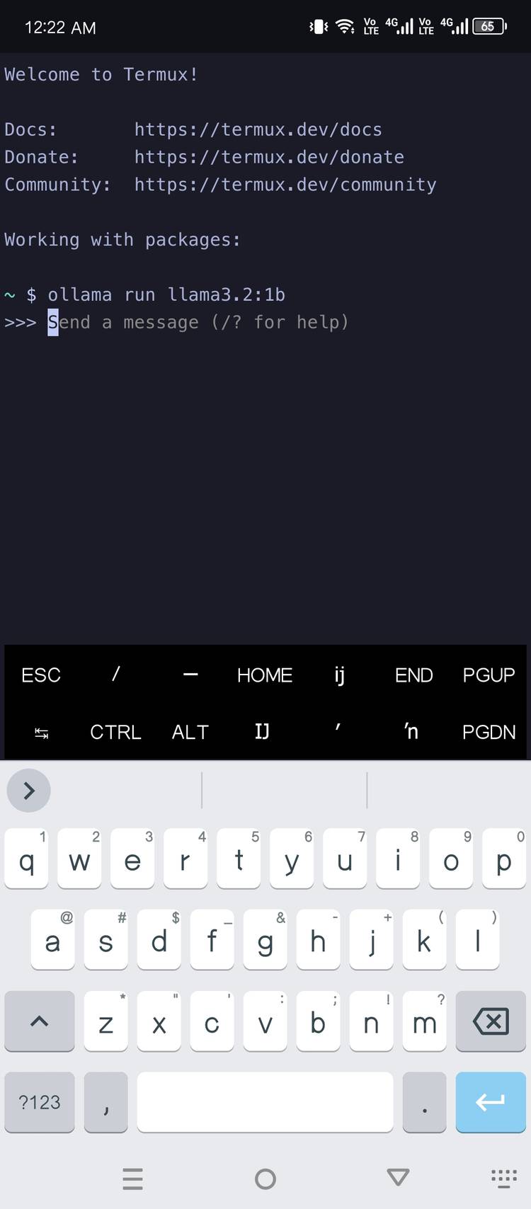 Llama 3.2 rodando offline no meu dispositivo Android.