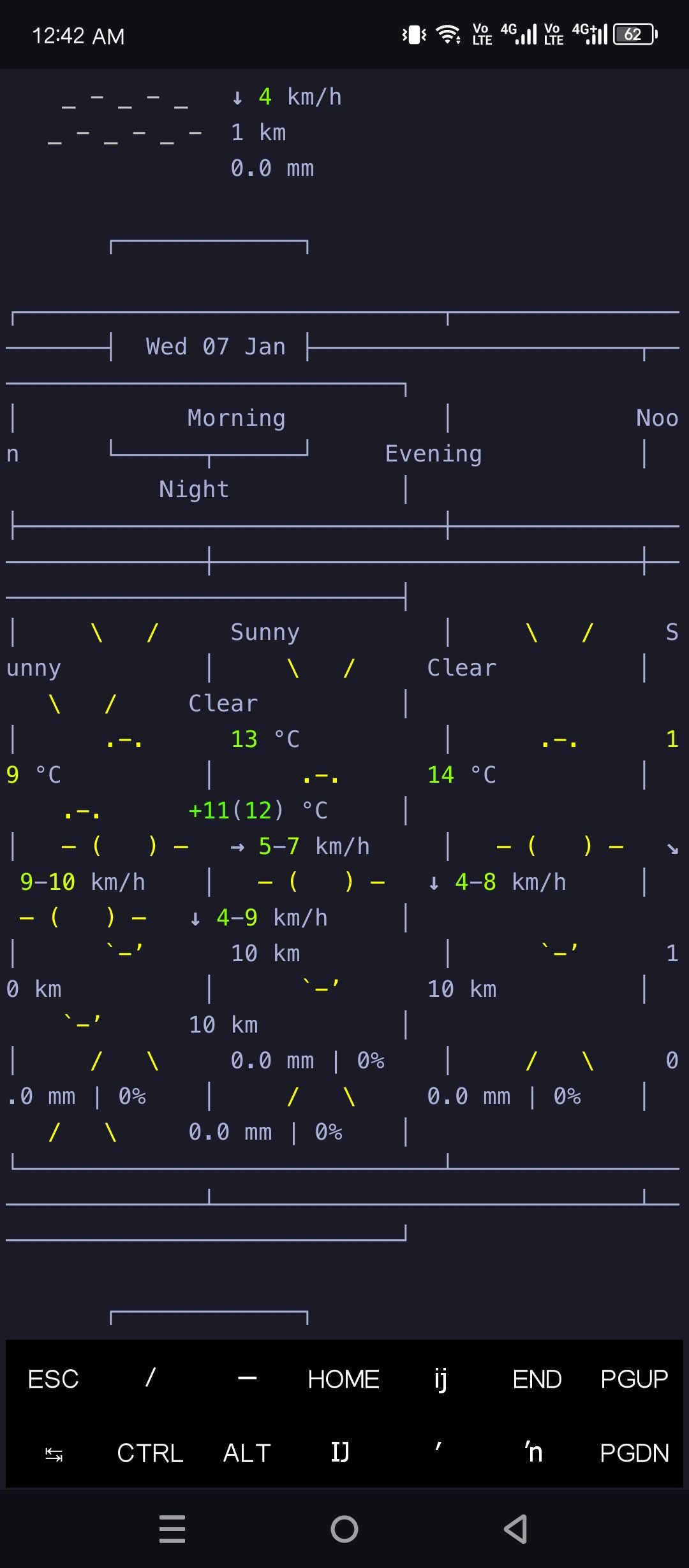 Gemini wrote a weather forecast script.