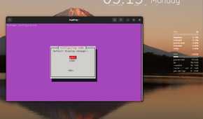 Selecting GDM3 while installing the KDE Plasma desktop