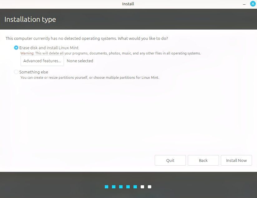 Selecting installation type when installing Linux Mint