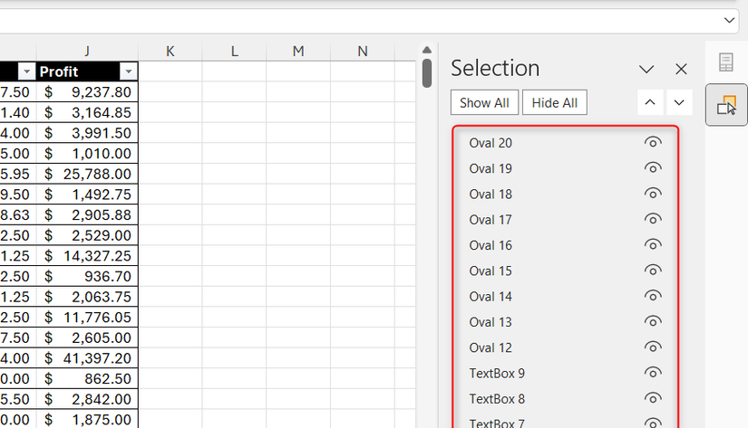 Several ovals and text boxes are displayed in Excel's Selection Pane.