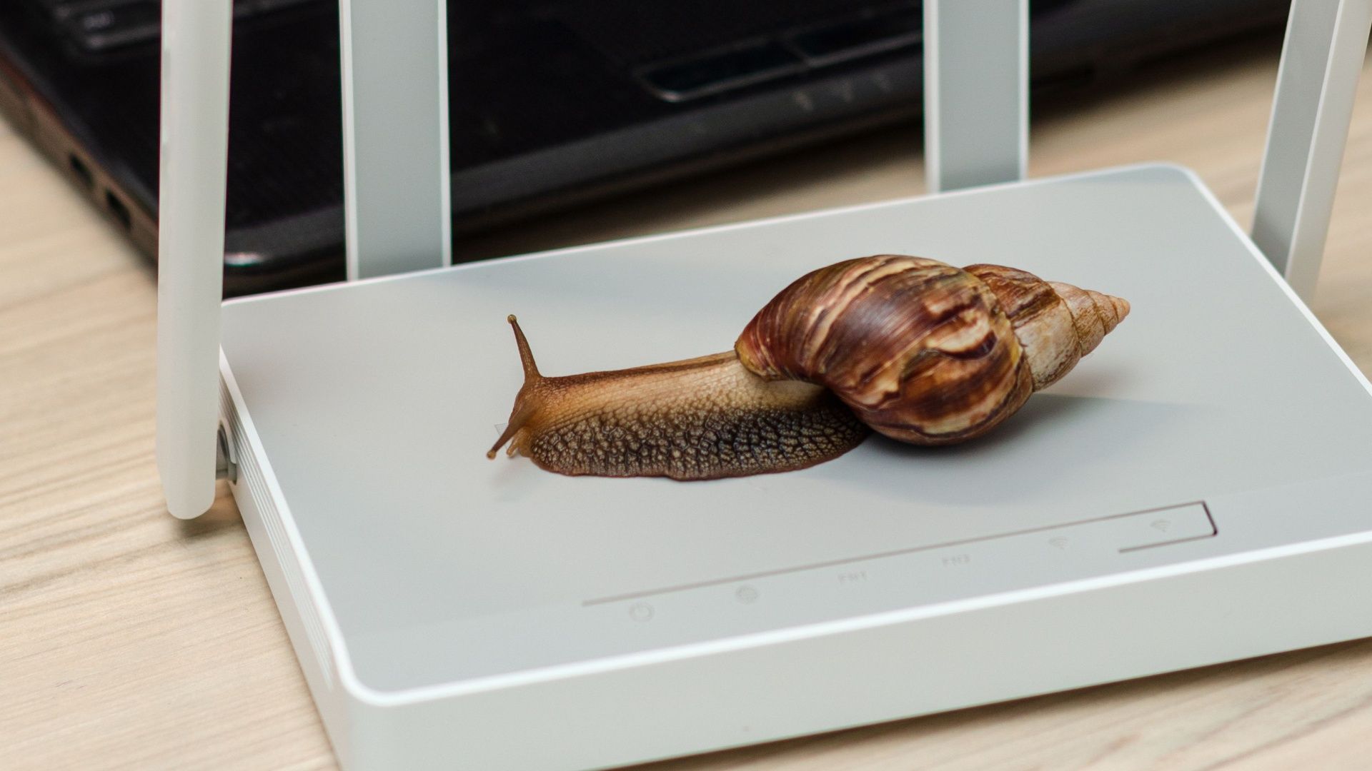 لماذا لم تعد إيثرنت الجيجابت كافية للمنازل الحديثة